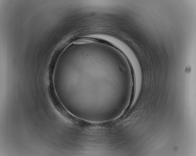 X0000097830734200803141145