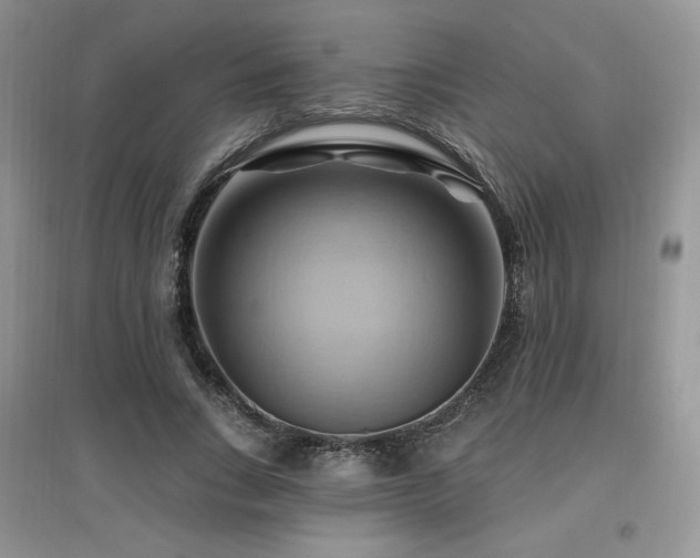 X0000097830735200803141145