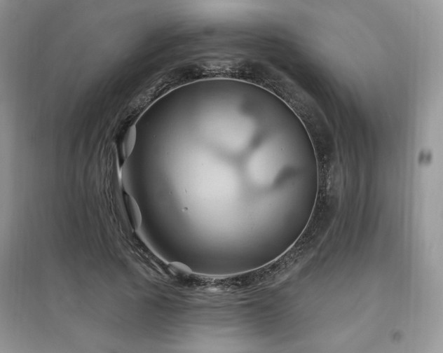 X0000097830737200803141145