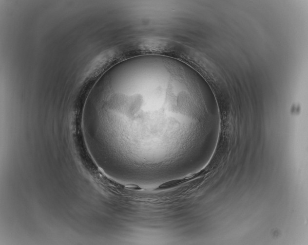 X0000097830738200803141145