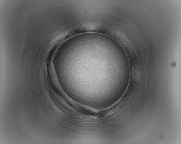 X0000097830740200803141145