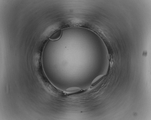 X0000097830742200803141145