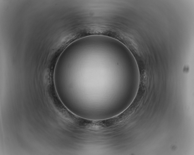 X0000097830743200803141145