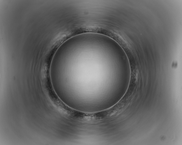 X0000097830744200803141145