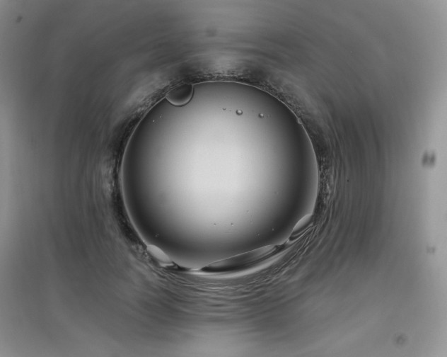 X0000097830746200803141145