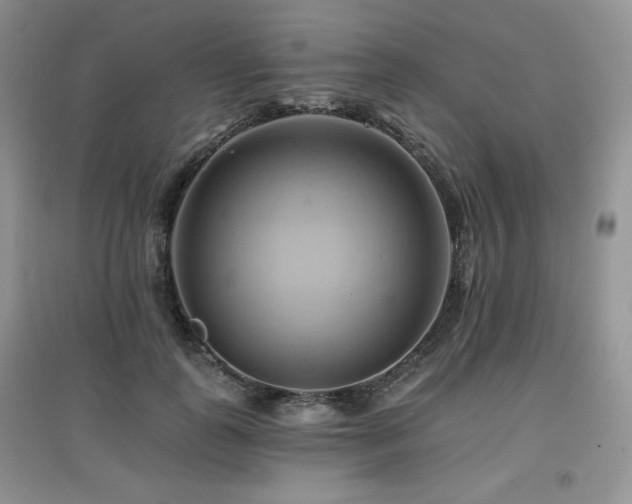 X0000097830747200803141145