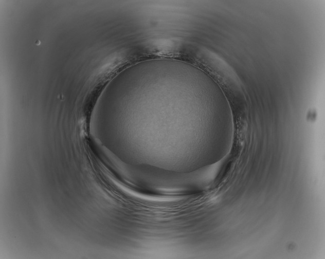 X0000097830748200803141145