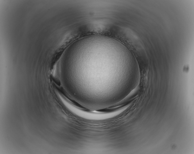X0000097830750200803141145