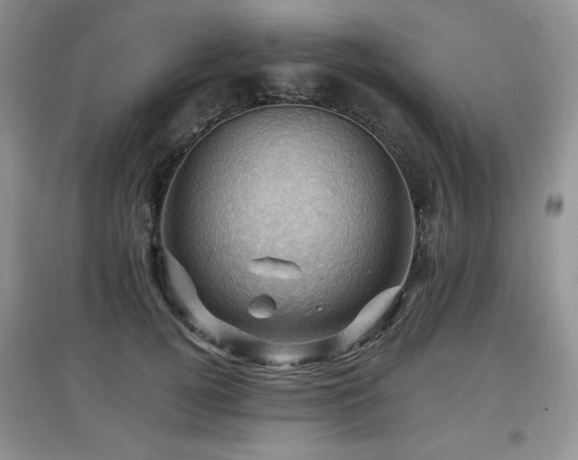 X0000097830752200803141145