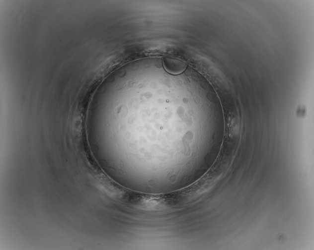 X0000097830753200803141145