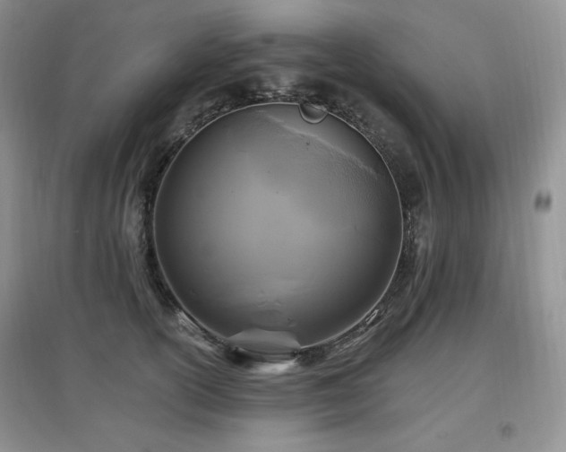 X0000097830754200803141145