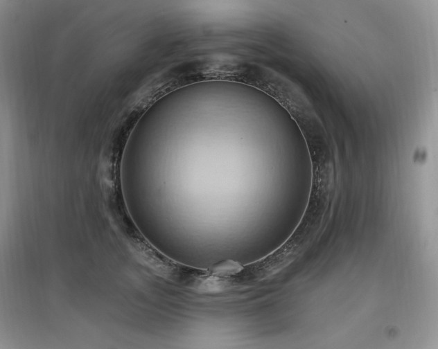 X0000097830755200803141145