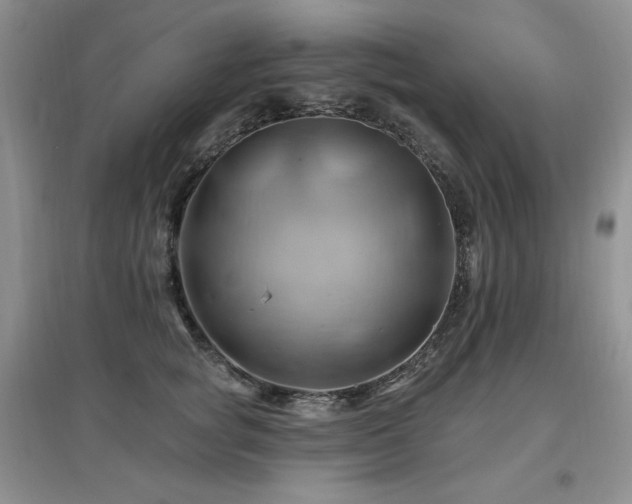 X0000097830757200803141145