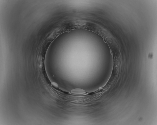 X0000097830758200803141145