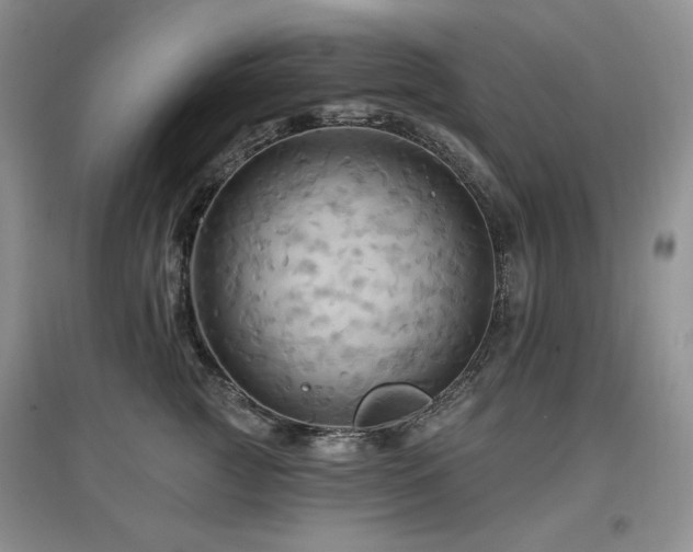 X0000097830761200803141145