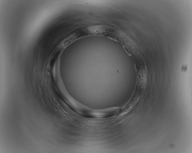 X0000097830762200803141145