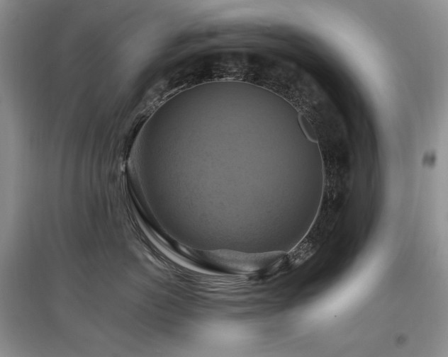 X0000097830766200803141145