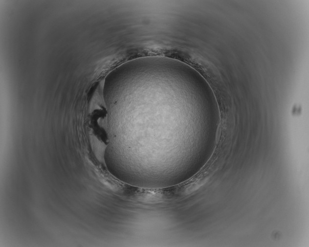 X0000097830768200803141145
