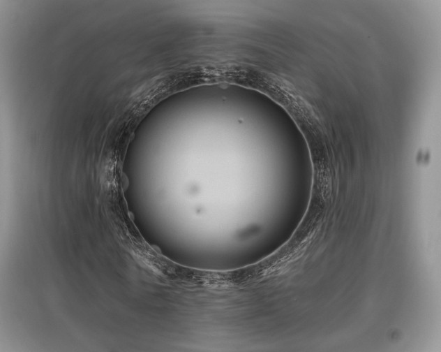 X0000097830770200803141144