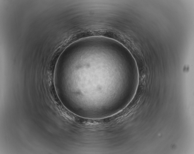 X0000097830772200803141144