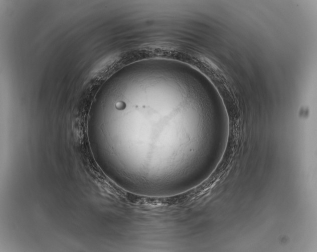 X0000097830774200803141144