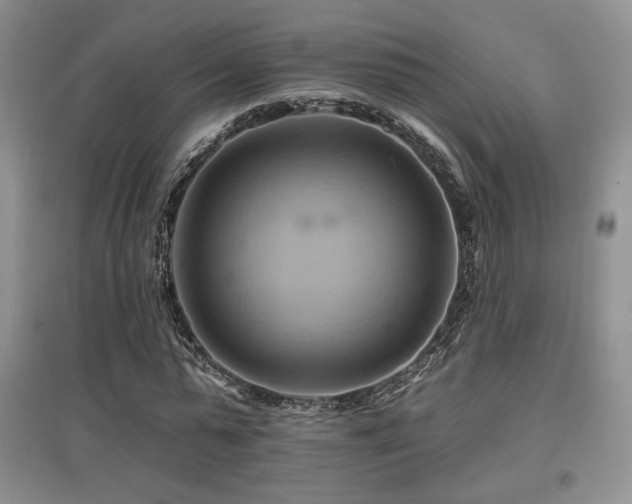 X0000097830775200803141144