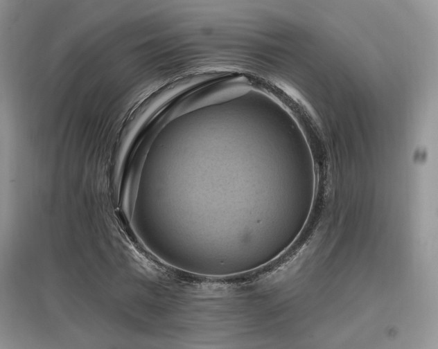 X0000097830777200803141144