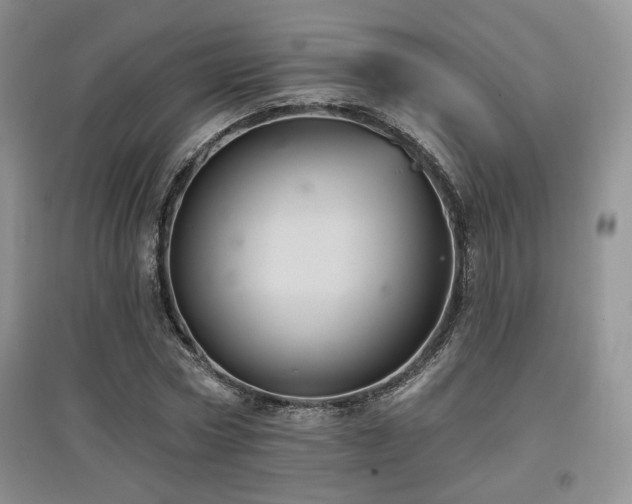 X0000097830778200803141144