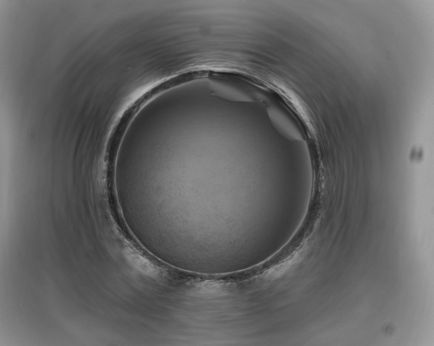 X0000097830779200803141144