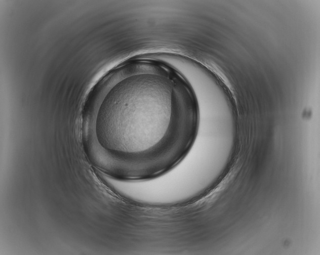 X0000097830781200803141144
