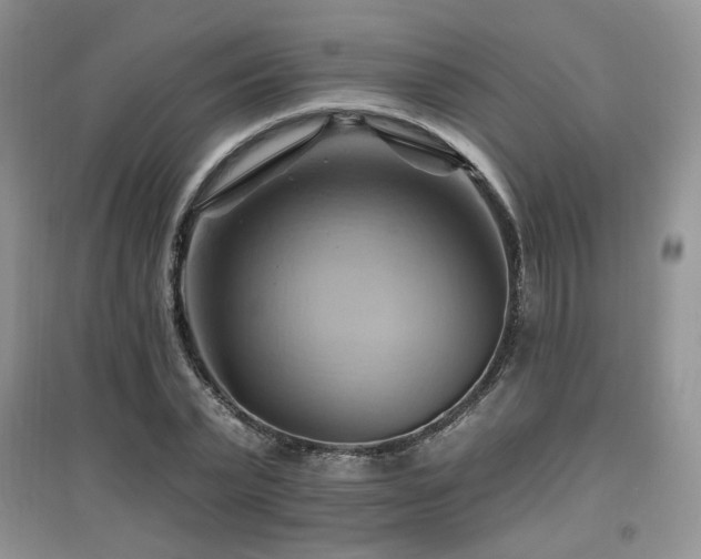 X0000097830783200803141144
