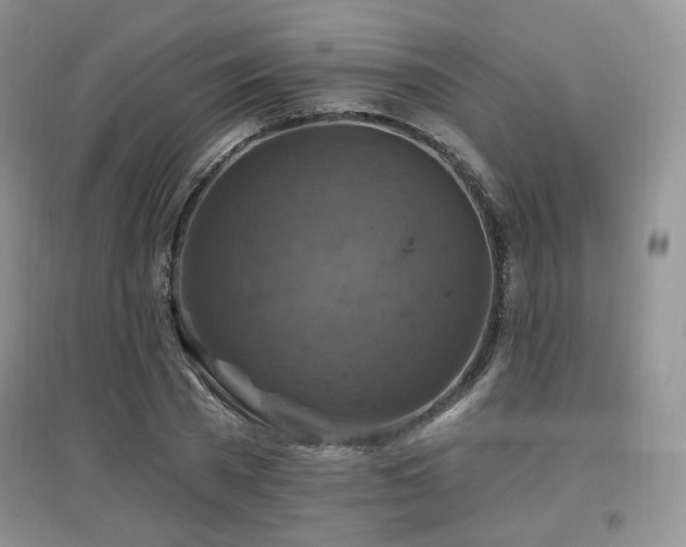 X0000097830785200803141144