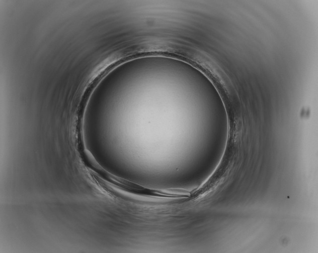 X0000097830786200803141144