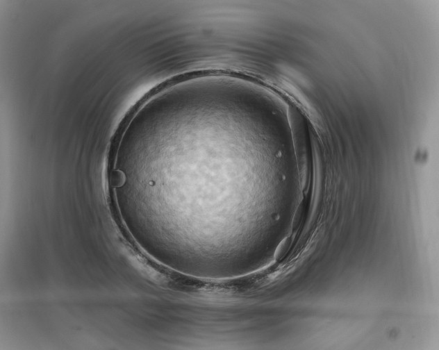 X0000097830788200803141144