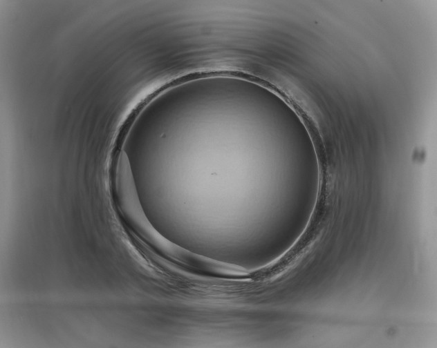 X0000097830789200803141144