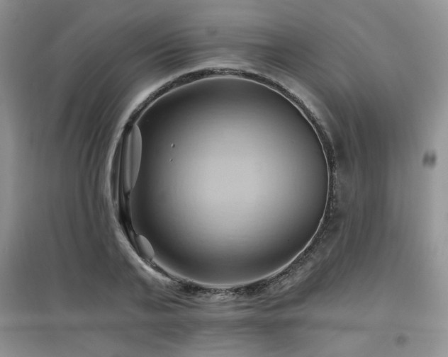 X0000097830791200803141144