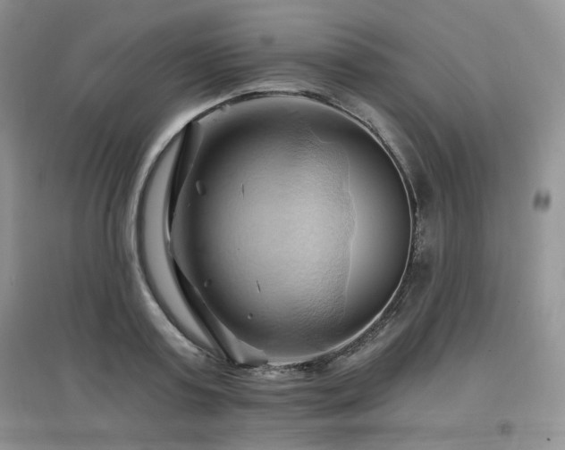 X0000097830795200803141144