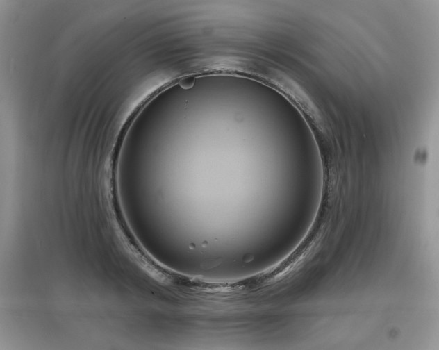X0000097830798200803141144