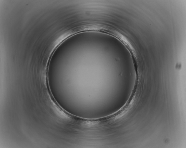 X0000097830802200803141144
