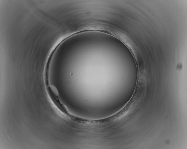 X0000097830803200803141144