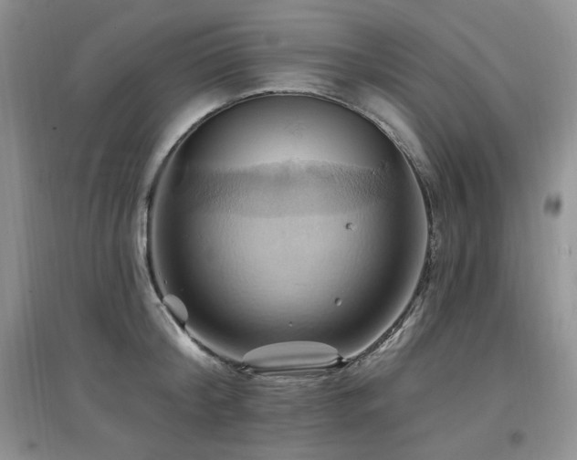 X0000097830804200803141144