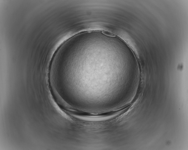 X0000097830805200803141144