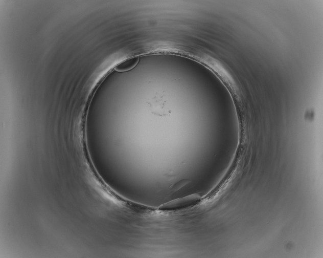 X0000097830806200803141144