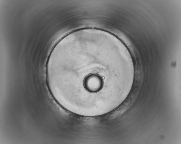 X0000097830807200803141144