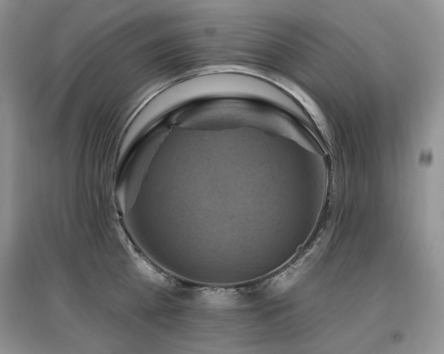 X0000097830809200803141144