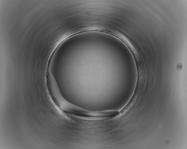 X0000097830810200803141144