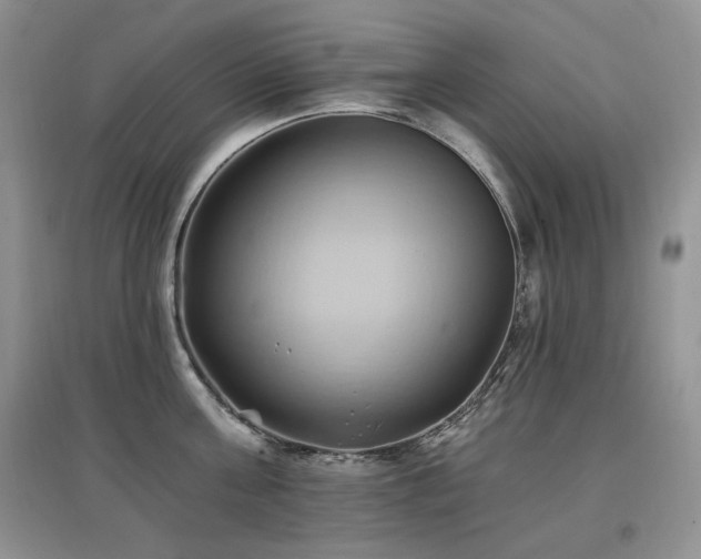 X0000097830811200803141144