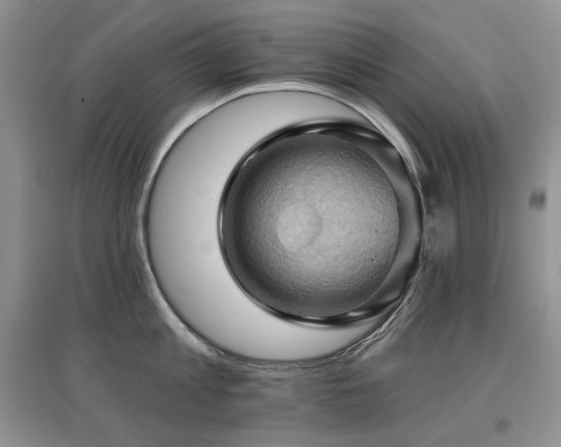 X0000097830813200803141144
