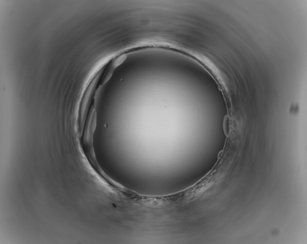 X0000097830815200803141144