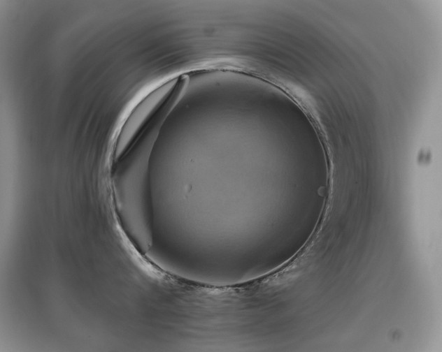 X0000097830816200803141144